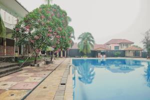 占碑市RedDoorz Syariah @ Pasir Putih Jambi的一座树屋前的游泳池