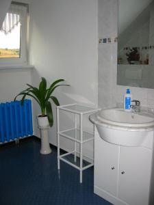 伦斯泰格地区施米德费尔德福丽恩农彼得恩格尔哈特公寓的一间带水槽和盆栽植物的浴室