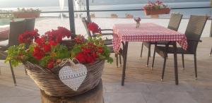 埃尔埃尼塔Mai Danube的桌椅、桌子和红色鲜花