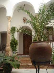 蒙托罗卡萨迈卡酒店的一座大花瓶,与建筑物中的植物