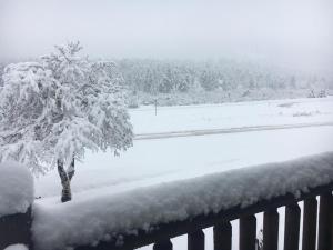 埃斯蒂斯帕克阿尔卑斯山小径岭汽车旅馆的一座有树和田野的雪地覆盖的院子