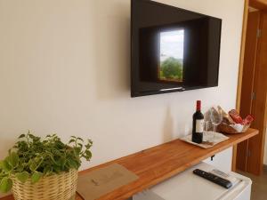 皮雷诺波利斯Pousada Vila Santa Maria的墙上的电视机,上面有植物和一瓶葡萄酒