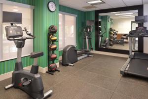 奥利安奥利安希尔顿恒庭酒店的健身房设有绿色的墙壁、健身器材和镜子
