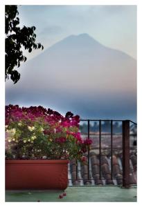 危地马拉安地瓜Meson de Maria的阳台上的鲜花,享有海景