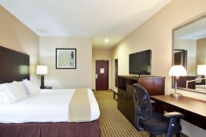 Le Roy勒罗​​伊智选假日酒店的酒店客房配有一张床、一张书桌和一台电视。