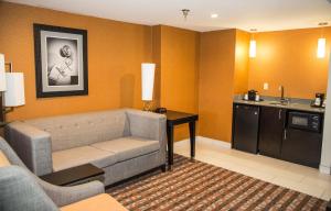 安条克Holiday Inn Express & Suites Nashville Southeast - Antioch, an IHG Hotel的相册照片