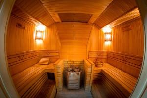 别尔茨克科罗娜酒店及SPA的享有带木墙的桑拿浴室的内部景致