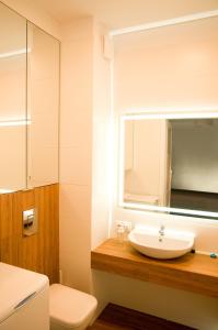 罗兹Apartament Blu的一间带水槽、卫生间和镜子的浴室