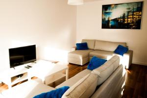 罗兹Apartament Blu的带沙发和电视的客厅