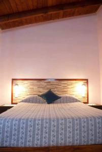 科尔多瓦Cabañas Luz de Luna, Comuna San Roque-Punilla的一间卧室配有一张大床和木制床头板