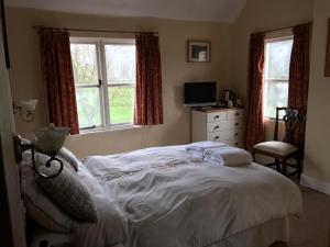 汤顿The Carew Arms的一间卧室配有一张床、一个梳妆台和两个窗户。