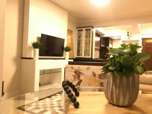 卡内拉Apartamento Baviera的带有花瓶的客厅,桌子上放着植物