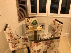 卡内拉Apartamento Baviera的玻璃桌和两把椅子上植有植物