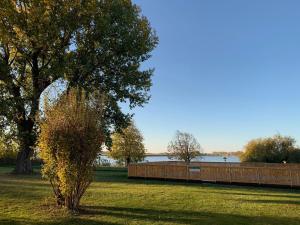 季马绍夫斯克瑞典乡村酒店的田野中的一棵树,有栅栏和湖泊
