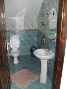 Căpăţîneni-PămînteniNopti de Vara Transfăgărășan的一间带卫生间和水槽的浴室