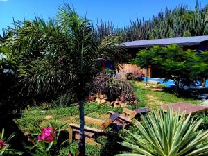 Santa CruzHopi Cadushi Apartment的一个带长凳和棕榈树的花园