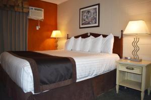 霍普Hope Inn and Suites的酒店客房配有一张床和一张带台灯的桌子