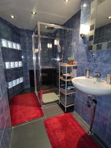 阿姆斯特丹Jordaan Canal View Apartment的带淋浴、盥洗盆和淋浴的浴室