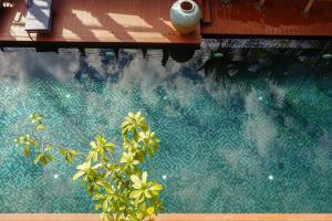 清迈Phor Liang Meun Terracotta Arts的享有种植了植物的游泳池的景色