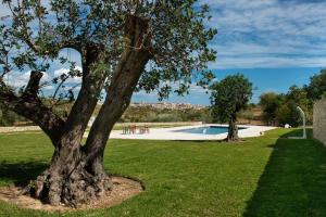 诺托Relais Terre di Romanello的庭院里的树,带有游泳池