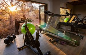 巴卢莱自然保护区Pondoro Game Lodge的健身房设有两辆健身自行车和跑步机