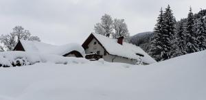 翁特陶埃恩Ferienhaus Pöttler的一座被雪覆盖的房屋,有树木