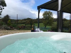 莫尔德Glan Llyn Farm House的院子里装满水的浴缸