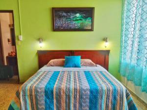 圣萨尔瓦多绿洲住宿加早餐旅馆的一间卧室配有一张带蓝色枕头的床