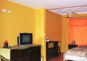 阿拉胡埃拉梅尔罗斯机场住宿加早餐旅馆的一间卧室配有一张床,梳妆台上配有电视