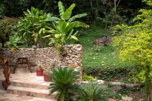 TeavaroHaere Mai I Te Fare的一座拥有石墙和一些植物的花园