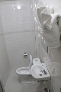 纳库鲁Claire de Lune Moonlight Hotel的浴室配有卫生间、水槽和毛巾。