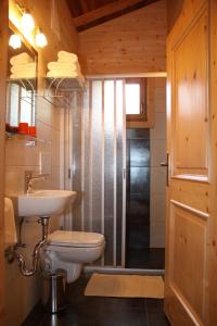 麦尔迪娜诺伊舍茨霍夫酒店的浴室配有卫生间、盥洗盆和淋浴。
