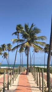 普拉亚多village na praia do forte的海滩上种有棕榈树的小径