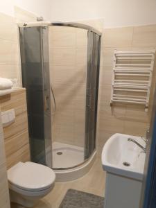 尤斯托尼莫斯基motel na stacji paliw的带淋浴、卫生间和盥洗盆的浴室