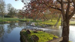 ChançayMoulin De Bacchus - Châteaux de la Loire的树旁公园里的河流