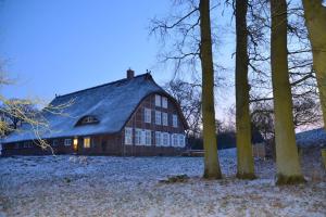 MödlichDeichkind - Reetdachhaus direkt am Elbdeich的树旁的谷仓,有雪