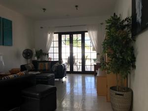 阿雷西费Casa Blanca的带沙发和盆栽植物的客厅