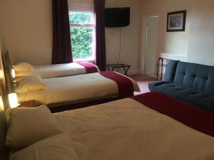 奥萨格圣树酒店的酒店客房,设有三张床和蓝色的沙发