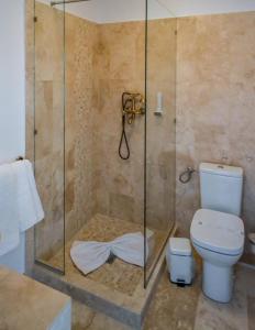 MăneciuHotel Coquette的带淋浴和卫生间的浴室