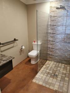肯普顿帕克Aerotropolis Guest Lodge的一间带卫生间和玻璃淋浴间的浴室