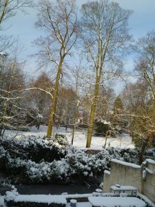 布鲁日斯皮尔曼斯瑞住宿加早餐酒店的一座被雪覆盖的公园,有树木