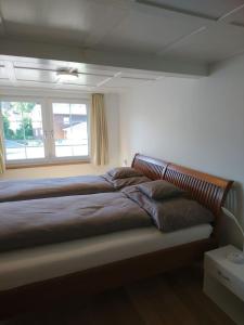 NesslauZwinglis Ferienwohnung Klärli的一间卧室设有一张大床和窗户