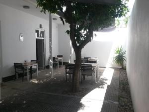 塞图巴尔Alcaçaria do Bairro的庭院里种着树,配有桌椅