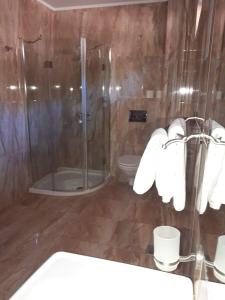 梅迪亚什Hotel Dennis的带淋浴、卫生间和毛巾的浴室