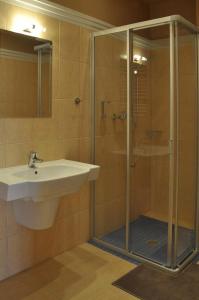 Radocza拉多扎公园活动及Spa酒店的一间带水槽和玻璃淋浴的浴室