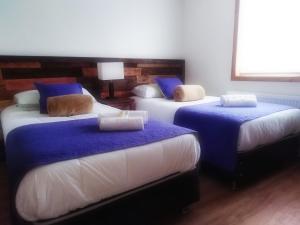 蓬塔阿雷纳斯Hostal Buenavista Patagonia的一间设有三张床的客房,配有蓝色和白色的床单