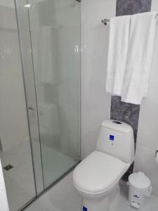 CaucasiaHOTEL TANIA的一间带卫生间和玻璃淋浴间的浴室