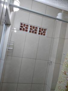 巴拉奈里奥-坎布里乌Casa de família e Quarto的带淋浴的浴室,配有一排鸡蛋