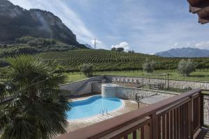 阿科拉威格纳住宅酒店的享有葡萄园美景的阳台上的游泳池