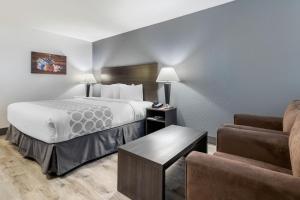 卡尔加里Super 8 by Wyndham Macleod Trail Calgary的酒店客房,配有床和沙发